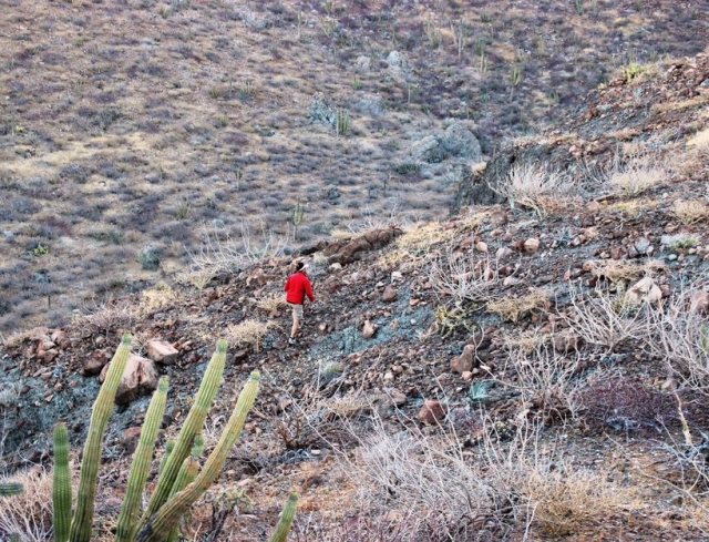 Que inicie tu aventura